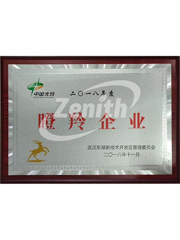 2018年瞪羚企业PNG
